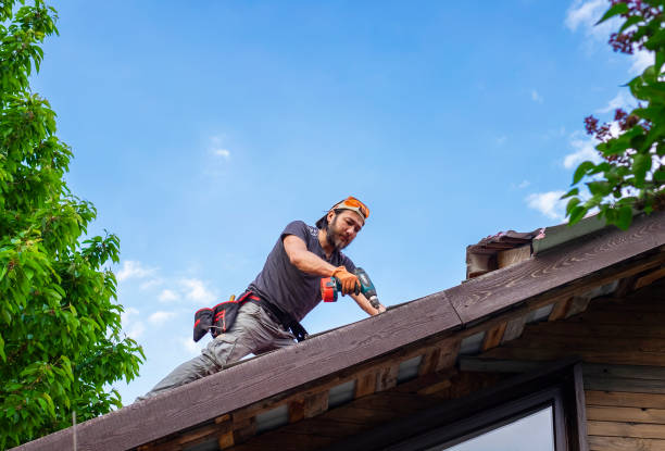 Best Skylight Installation and Repair  in Lam, AR