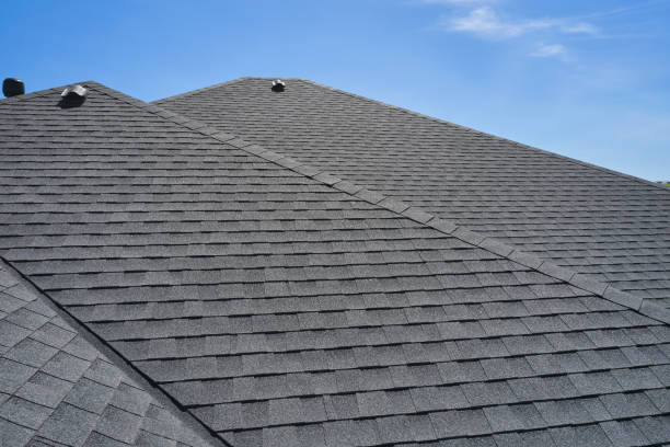 Best Roof Insulation Installation  in Lam, AR